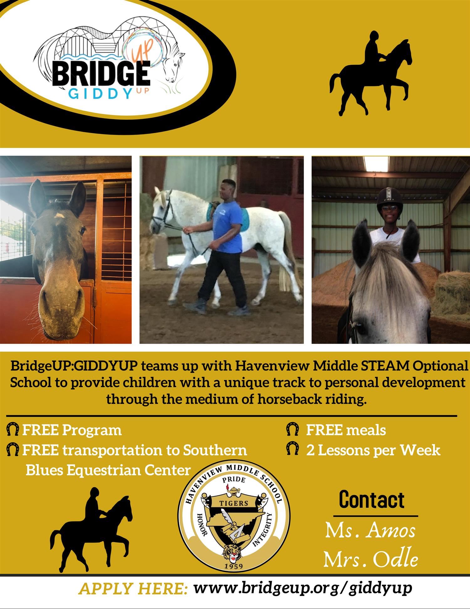 BridgeUP